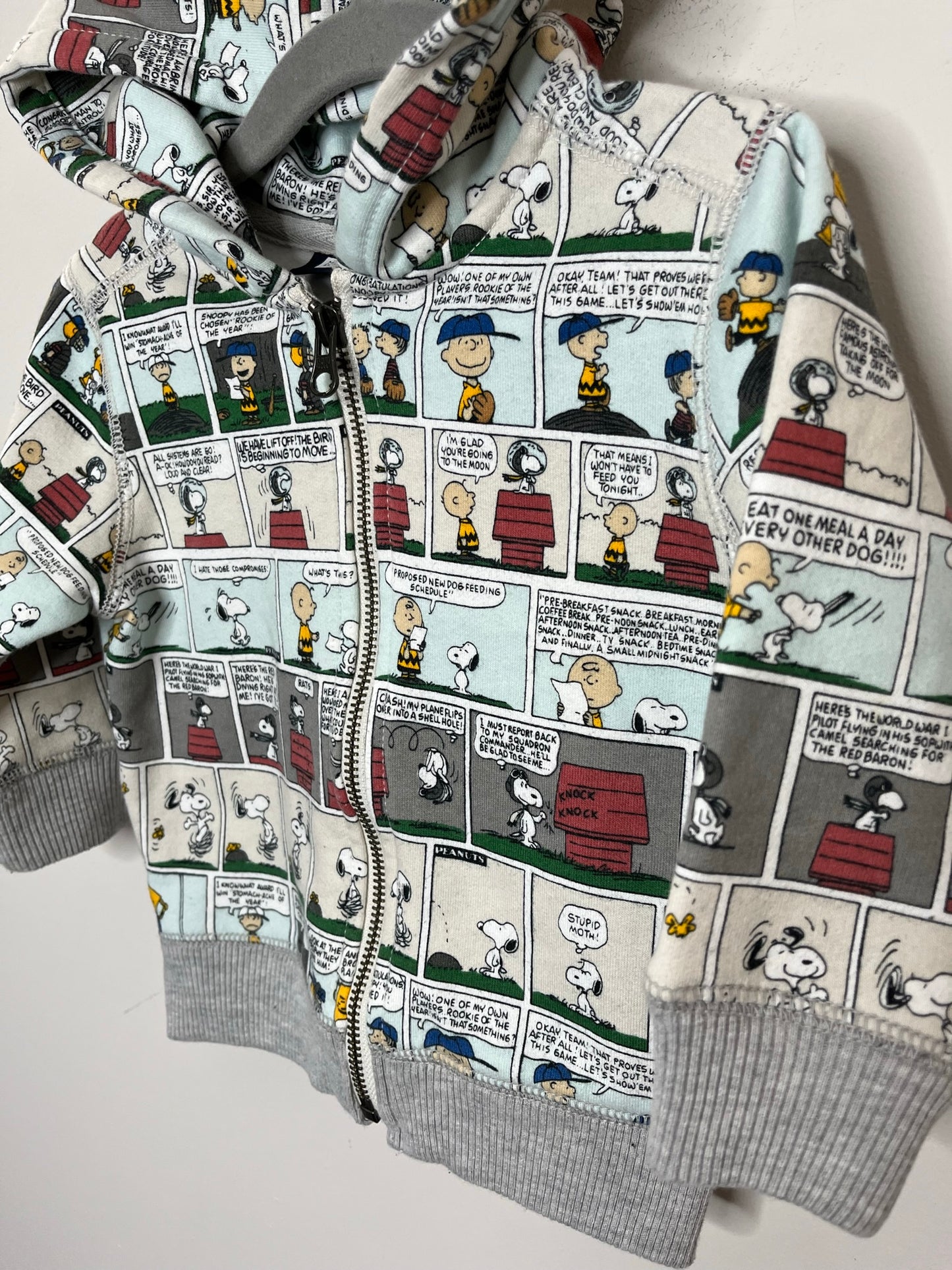 Gap X Peanuts Charlie Brown Comic Zip Hoodie (12-18)