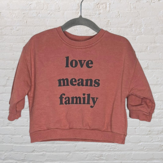Rust-colored sweatshirt with 'love means family' printed in bold letters on the front, hanging on a black hanger.