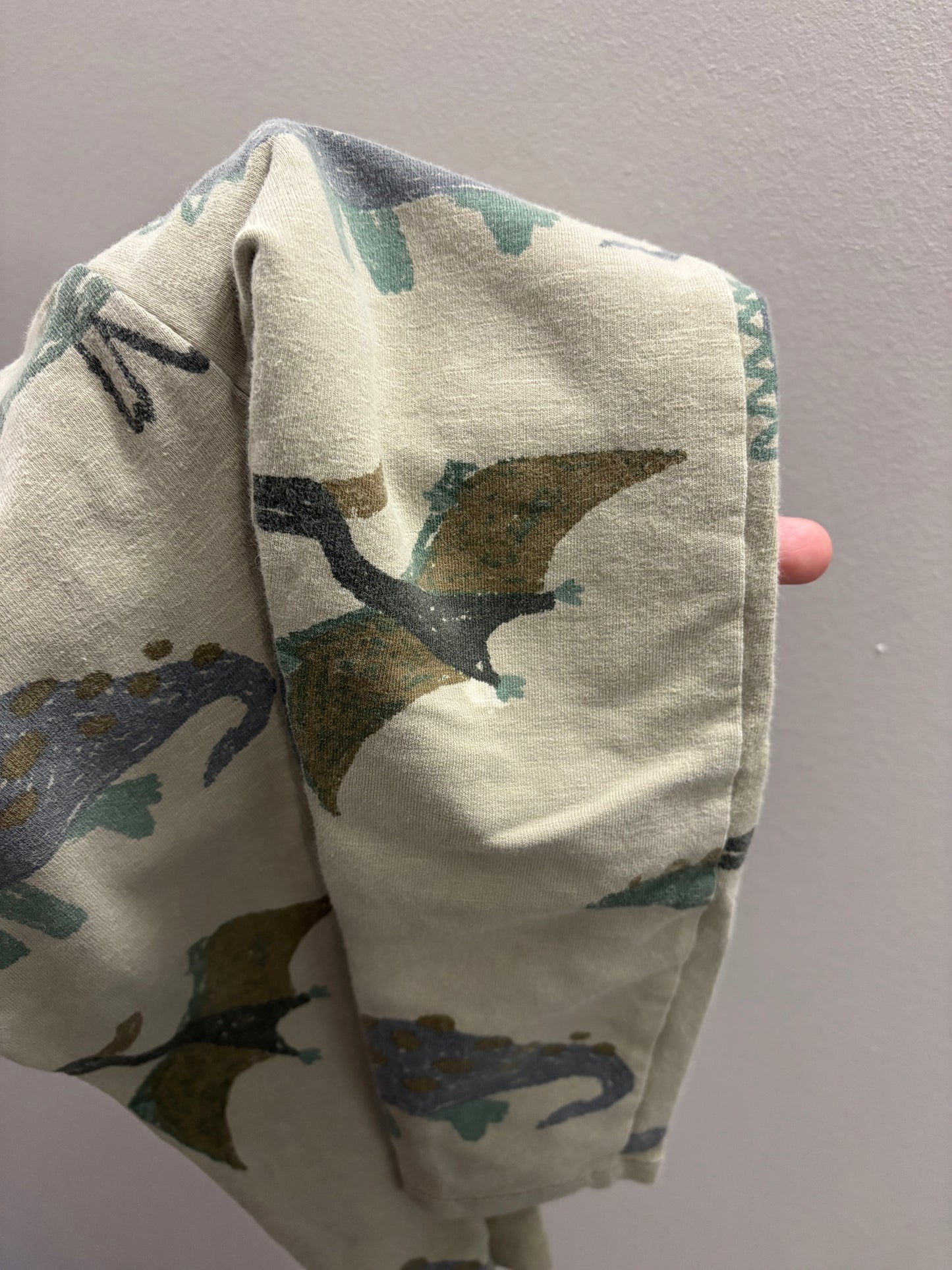 Zara Dinosaur Leggings (2T)*
