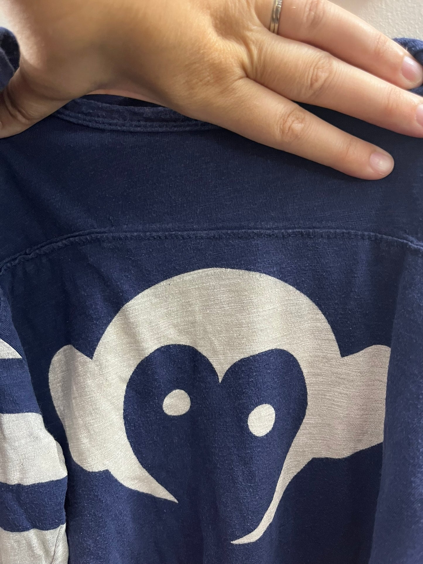 Appaman Logo Long-Sleeve (8)