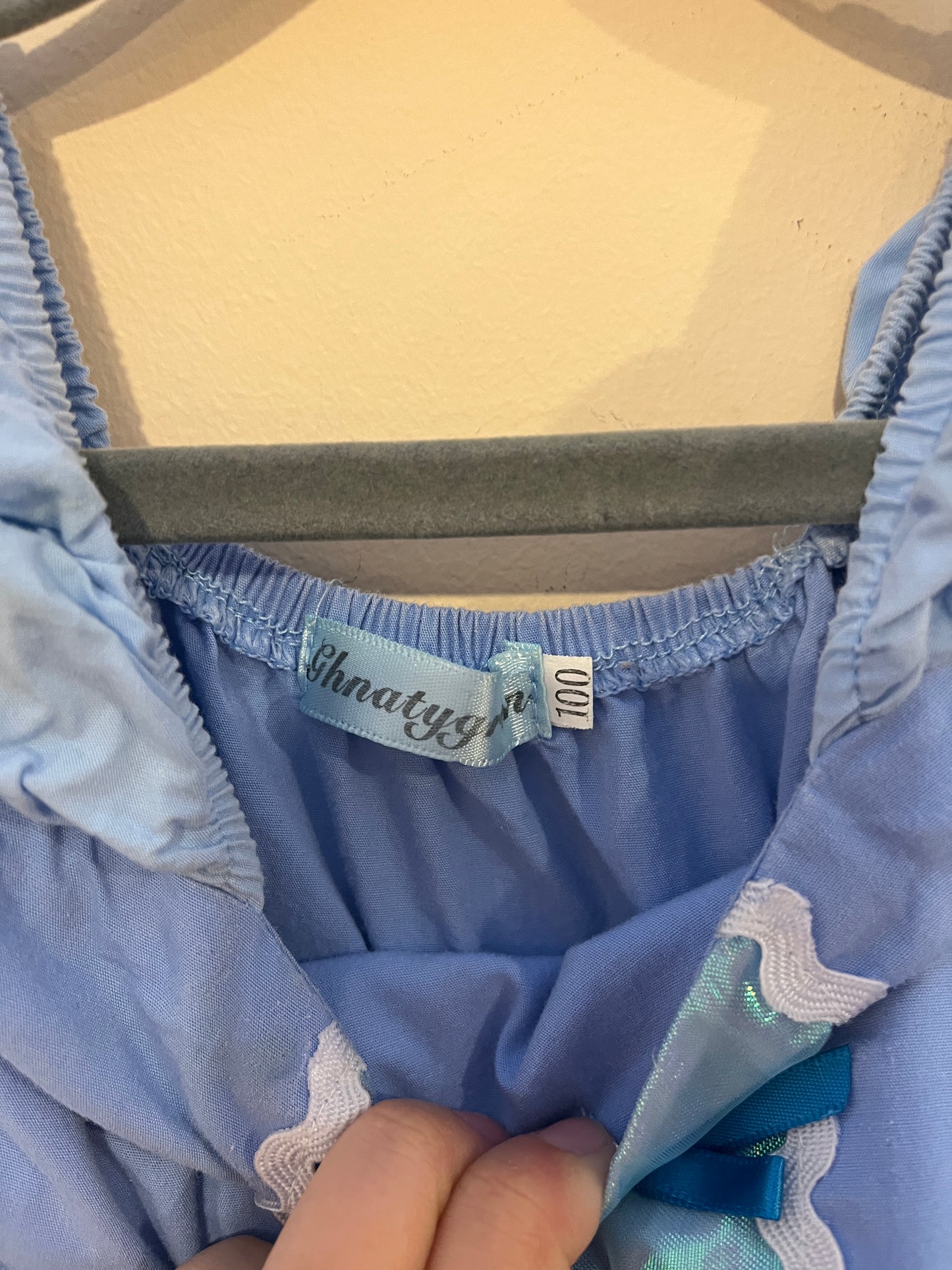 Cinderella Costume (3T)