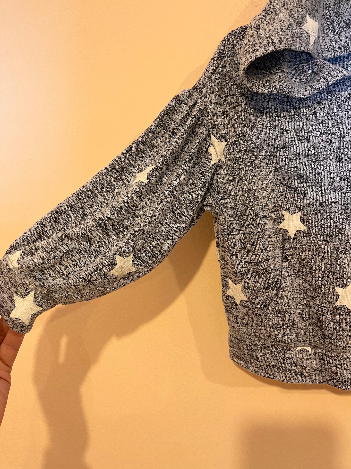 Gap Puffy Sleeve Hooded Long-Sleeve (2T)