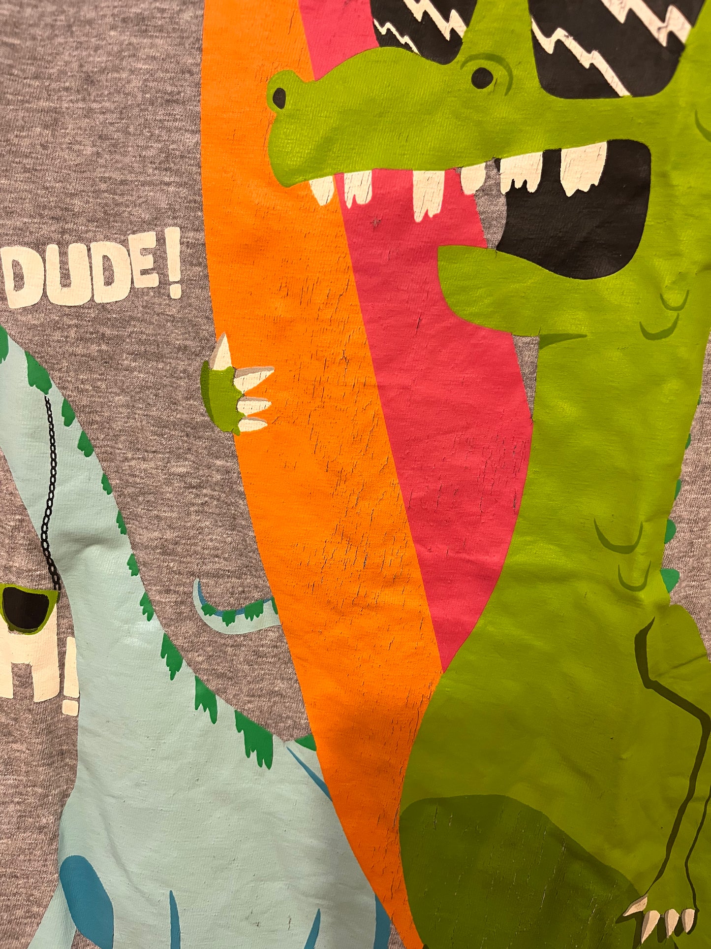 H&M Surfing Dino T-Shirt (6-7)