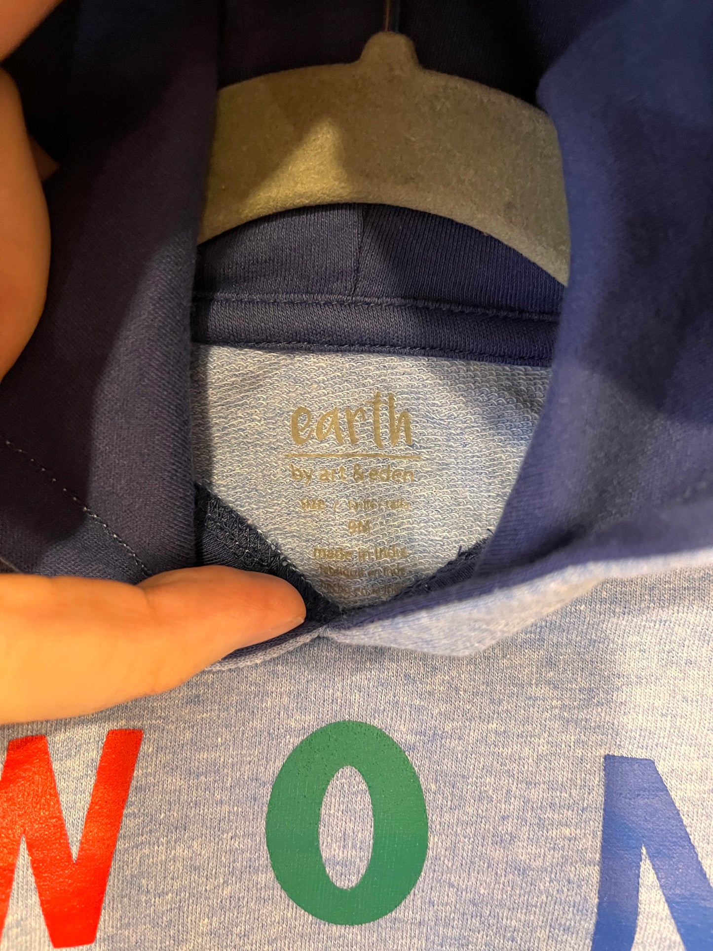 Earth By Art & Eden “Wonderful” Hooded Long-Sleeve (9M)