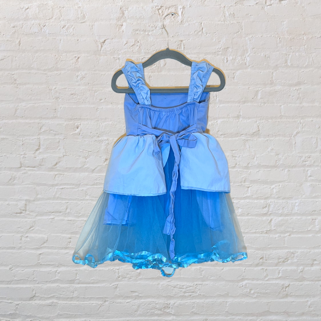 Cinderella Costume (3T)