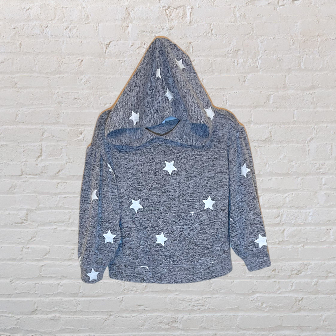 Gap Puffy Sleeve Hooded Long-Sleeve (2T)