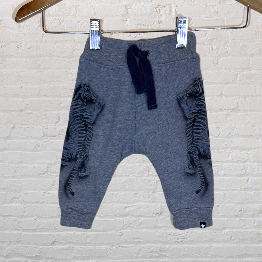 Molo Blue Tiger Joggers (3-6)