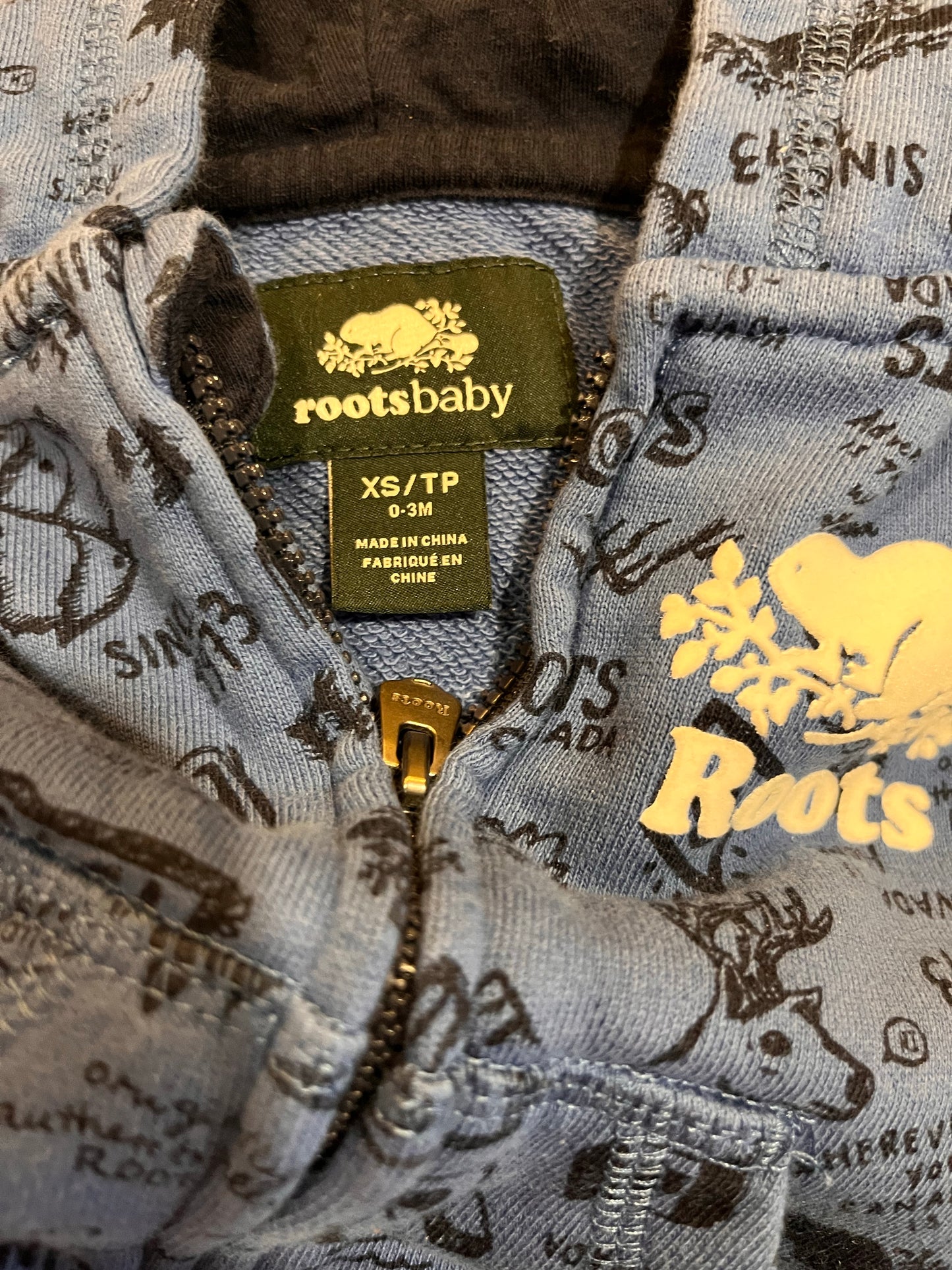 Roots Canadiana Hoodie Sweatsuit (0-3)