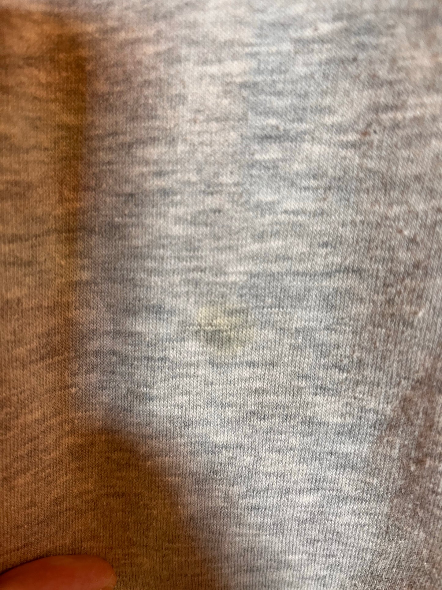 Levi’s Logo Sweatshirt (10-12)