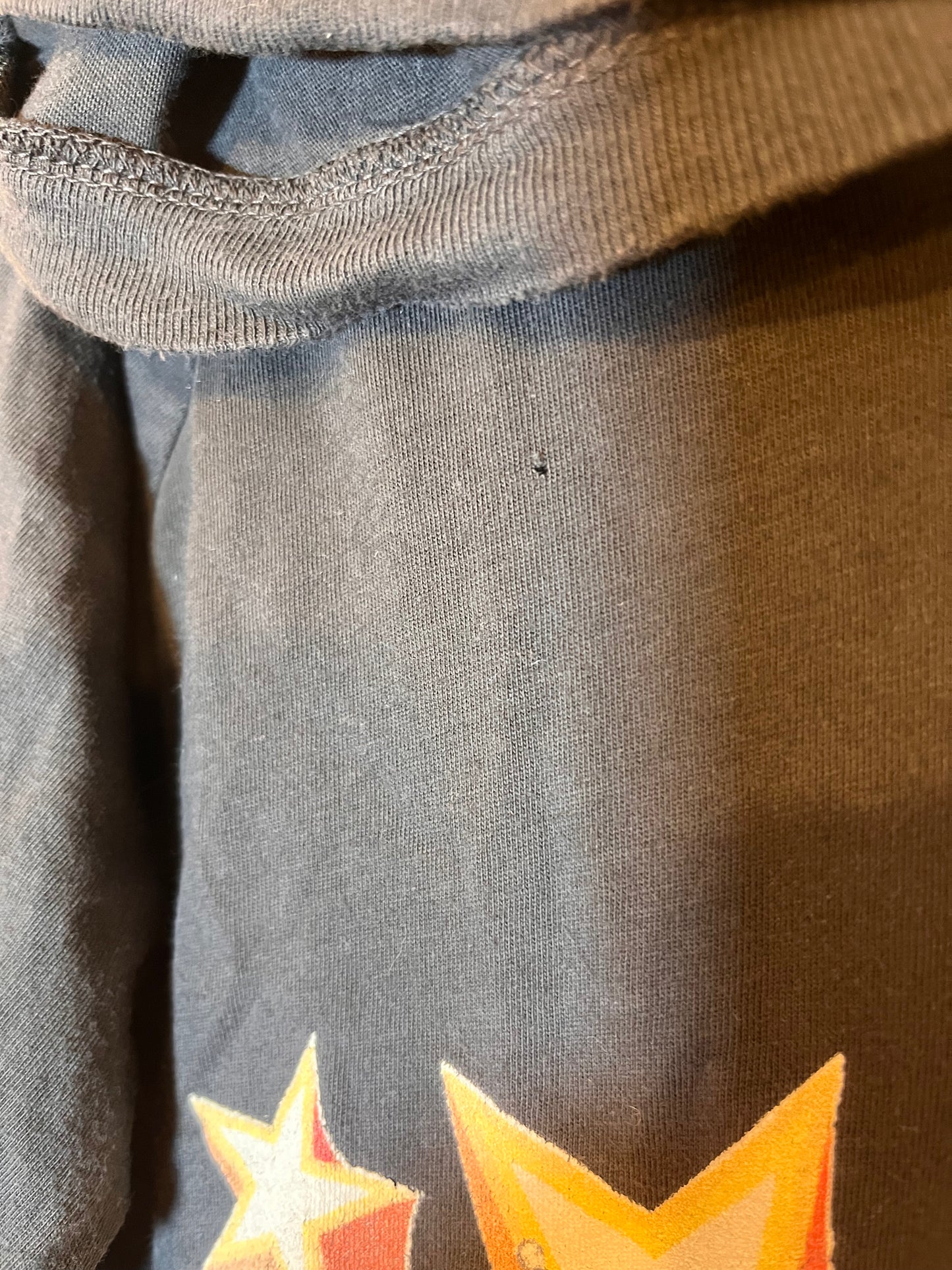 La Miniatura Animal Band Hoodie (8)