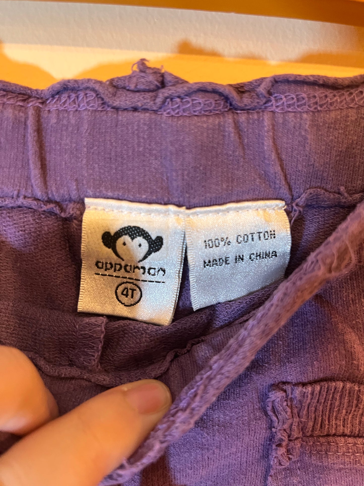 Appaman Sweat Shorts (4T)