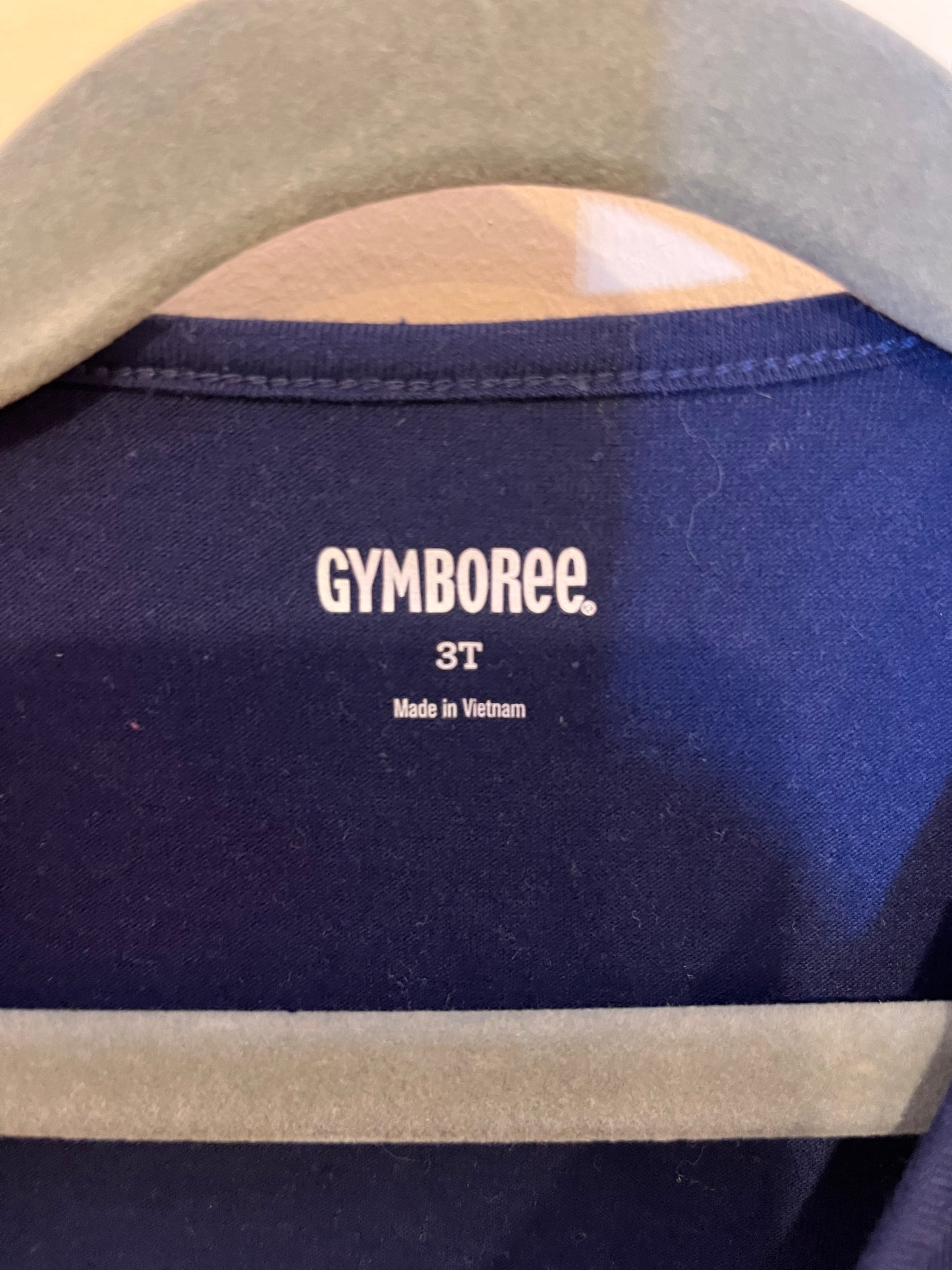 Gymboree Metallic Stars Dress With Tulle Skirt (3T)