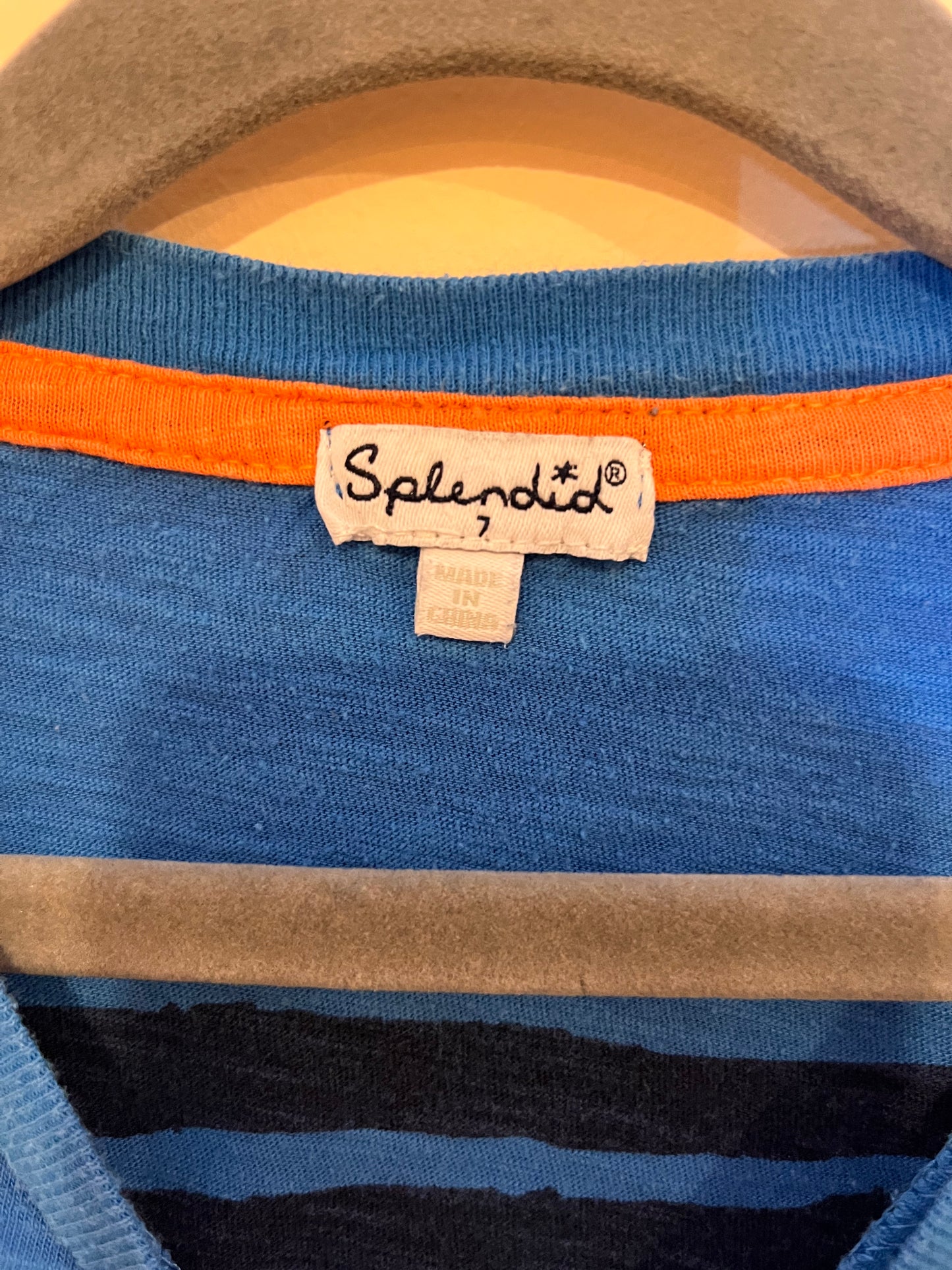 Splendid Striped T-Shirt (7)
