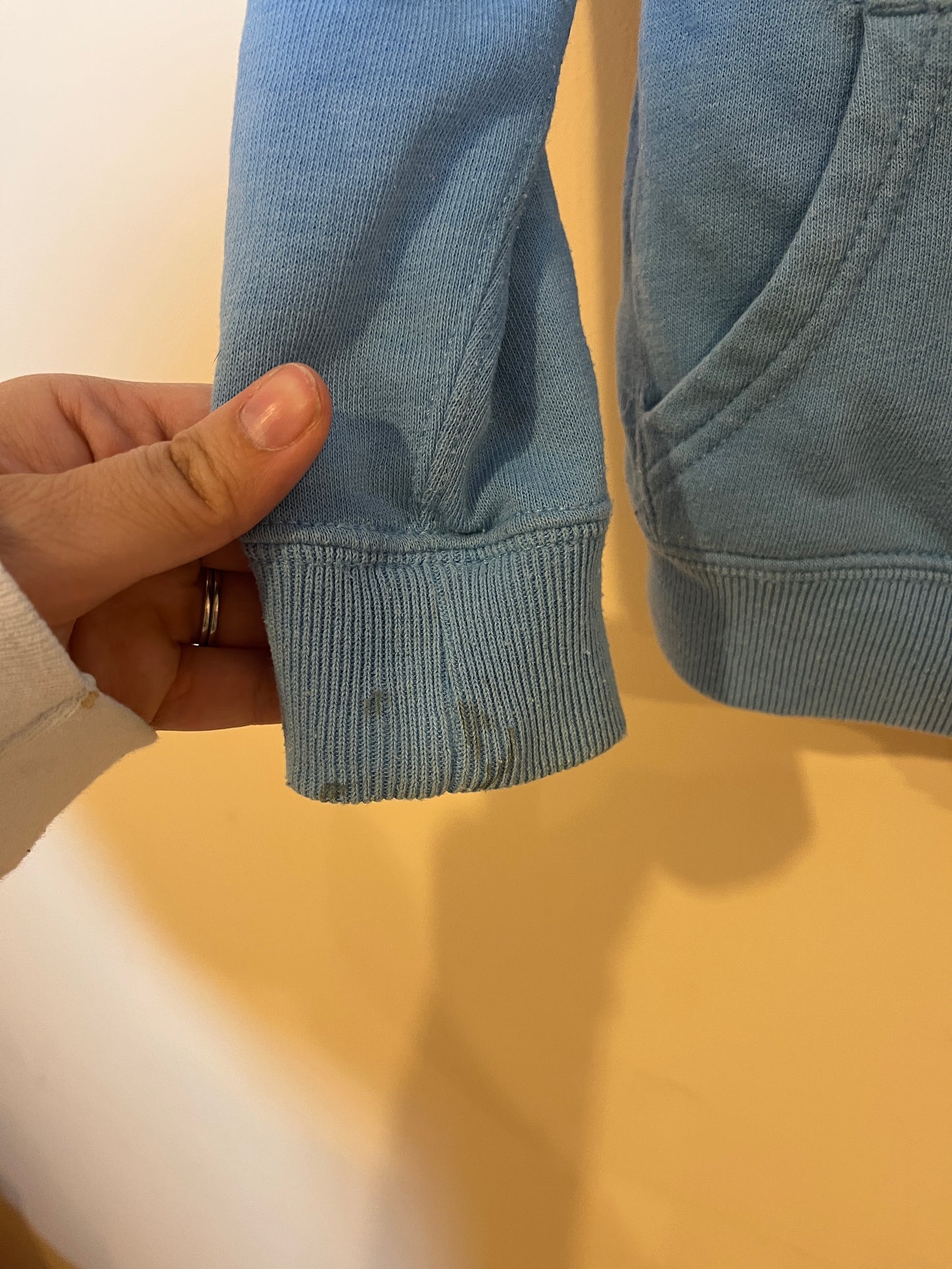 Polo Ralph Lauren Branded Hoodie (3T)