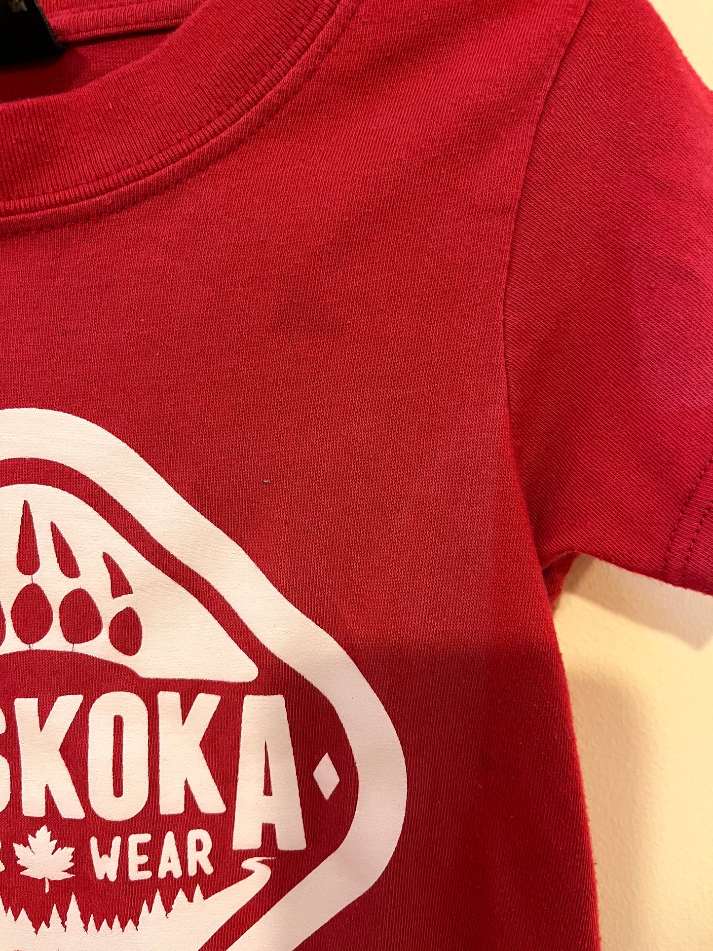 Muskoka Bear Wear Graphic T-Shirt (3T)