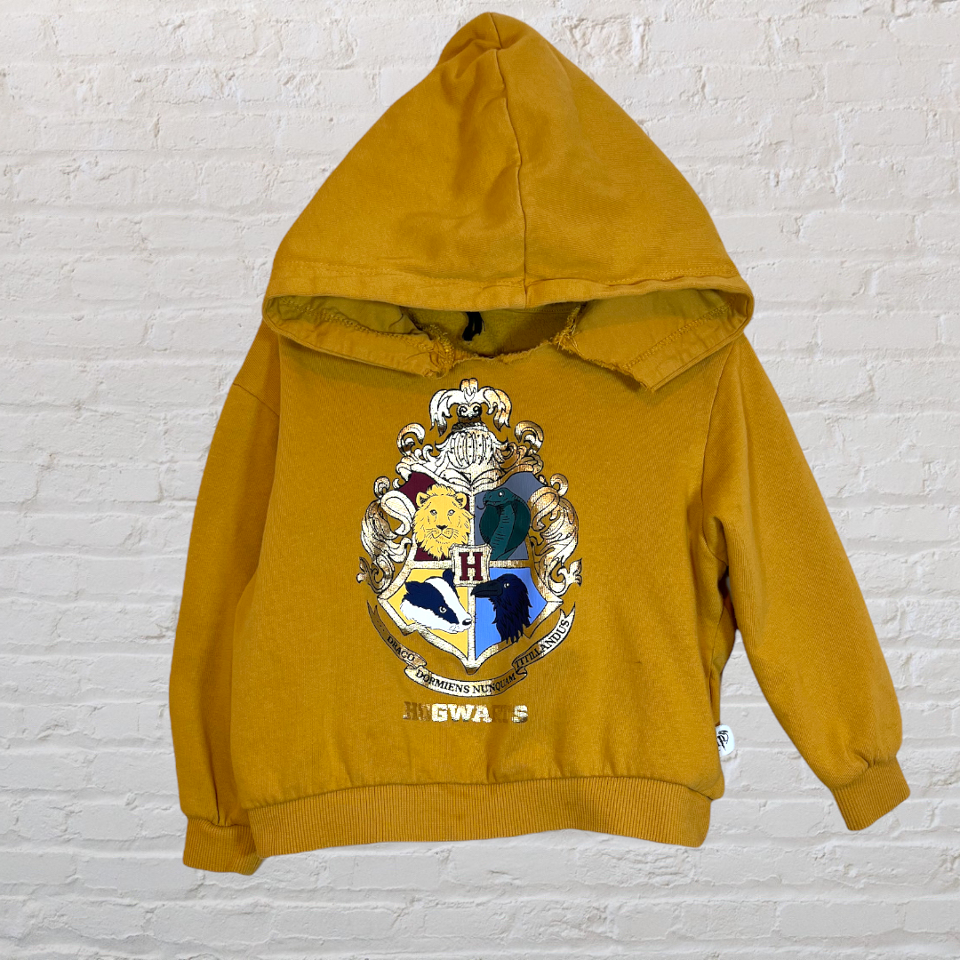 H&M x Harry Potter Hogwarts Crest Hoodie (3T)
