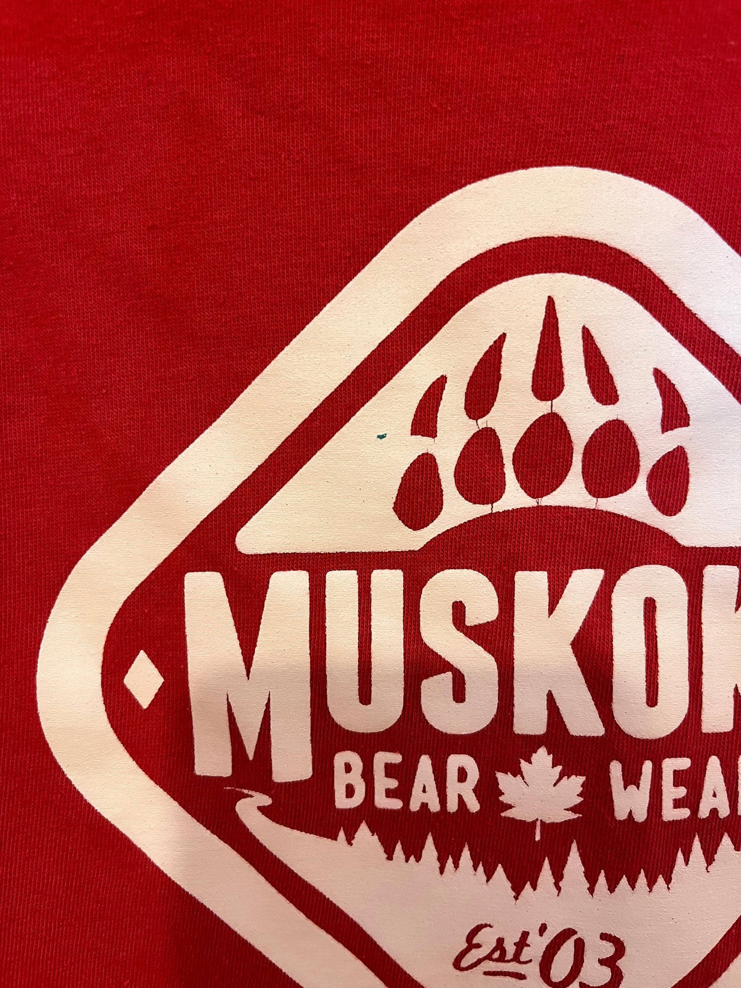 Muskoka Bear Wear Graphic T-Shirt (3T)