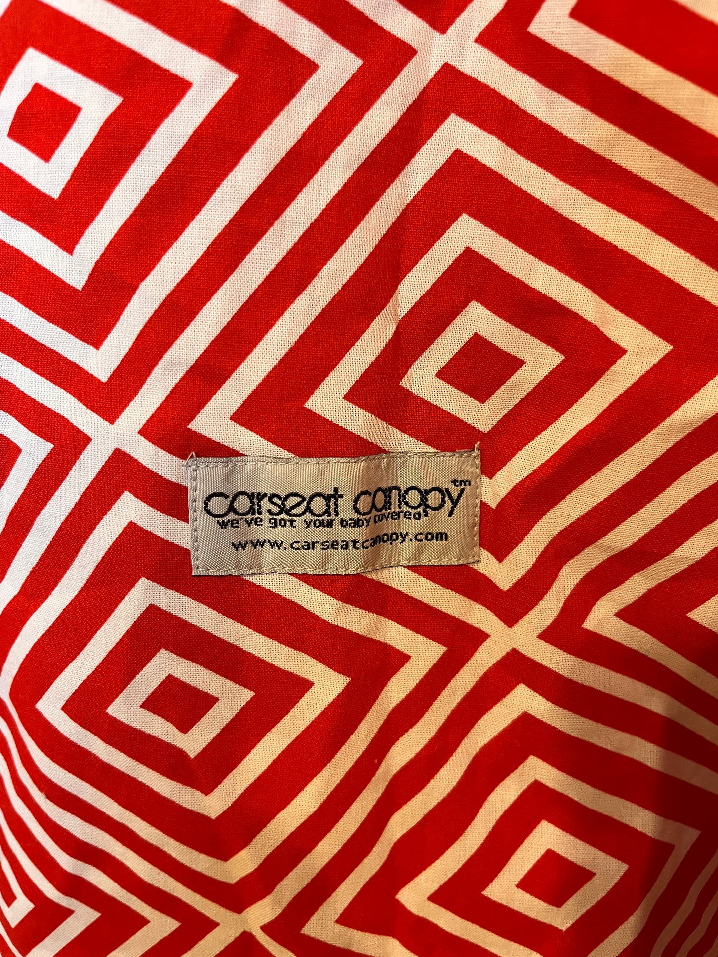 Carseat Canopy Minky-Lined Carseat Cover