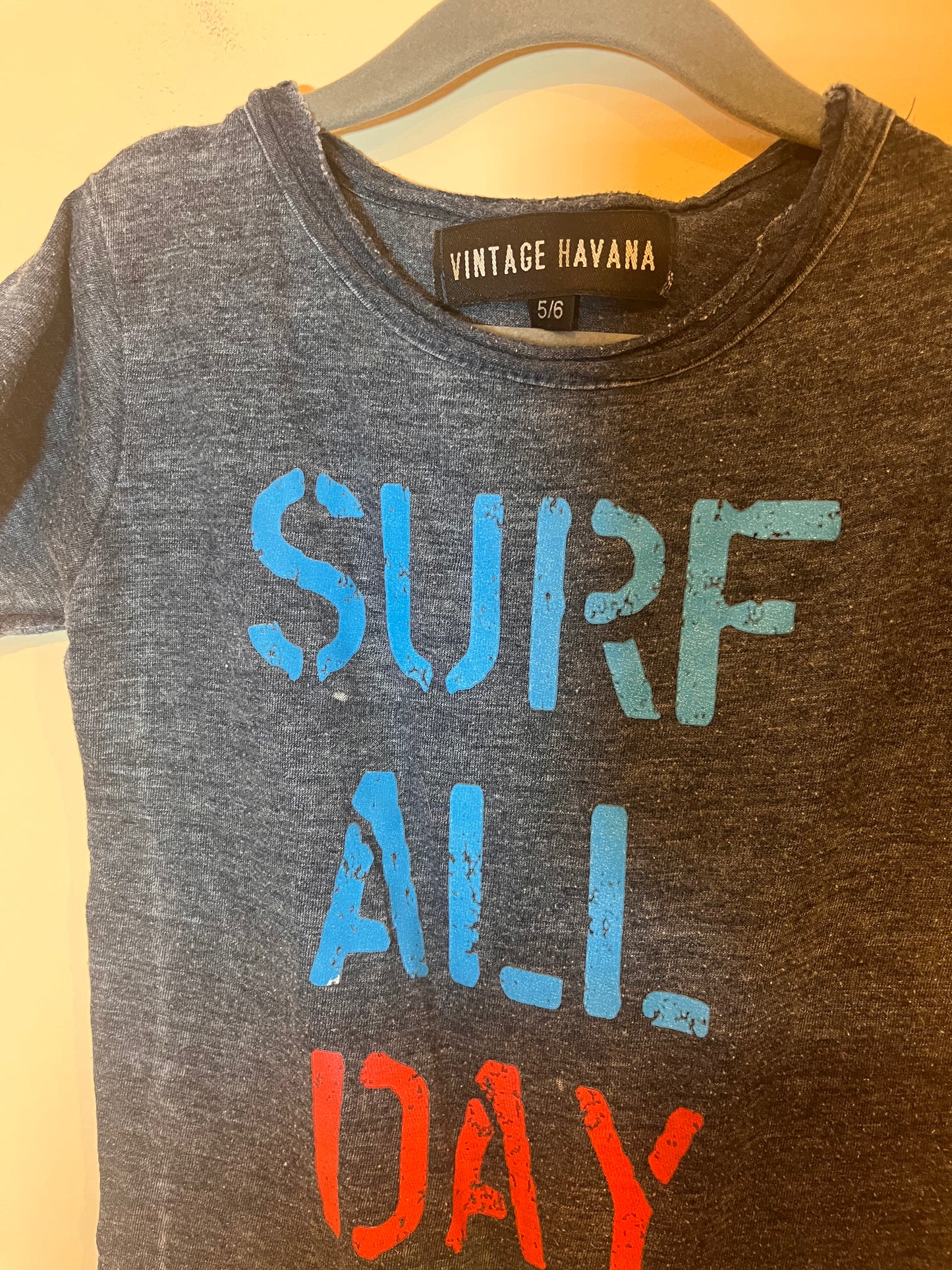 Vintage Havana “Surf All Day” T-Shirt (5-6)