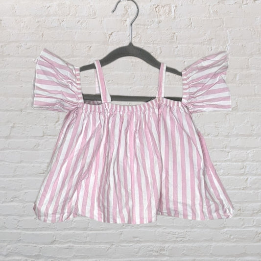 Zara Candy Stripe Crop Top (5T)