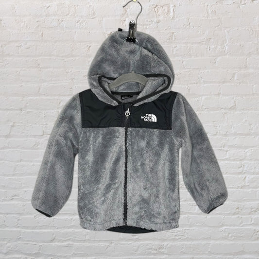 Gray fleece hoodie with black accents by The North Face, featuring a full zip and logo on the chest.