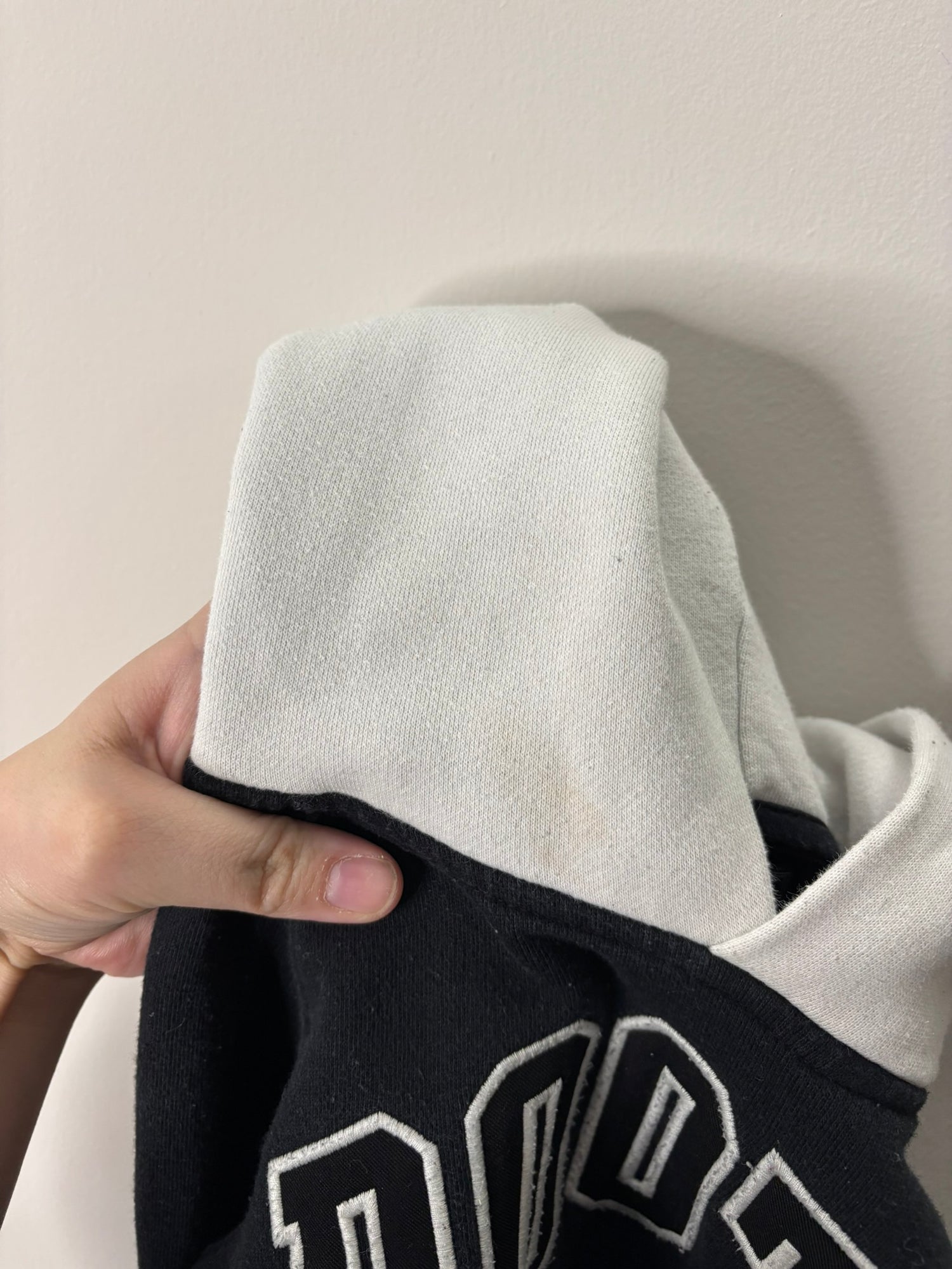 Roots Branded Hoodie (3T)