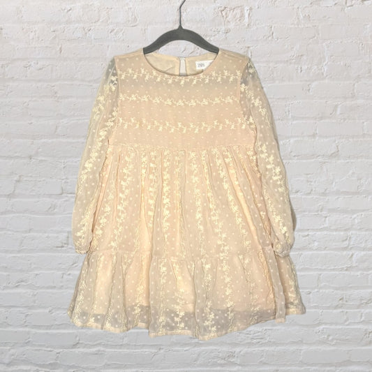 Cream Zara dress with floral embroidery and sheer overlay, long sleeves, displayed on a hanger.