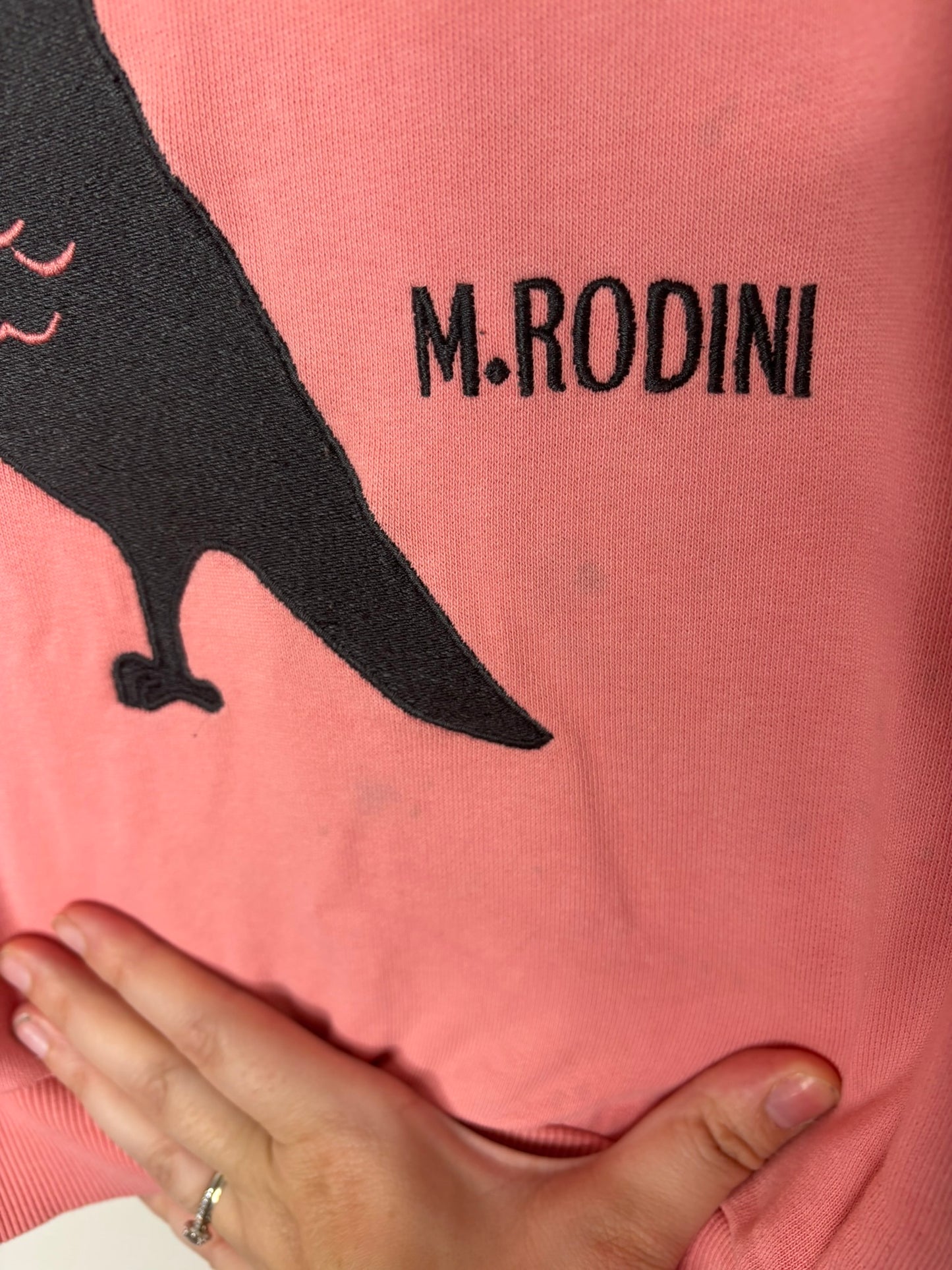 Pink sweatshirt with a pigeon graphic and 'Association des Pigeons Voyageurs' text, by Mini Rodini.