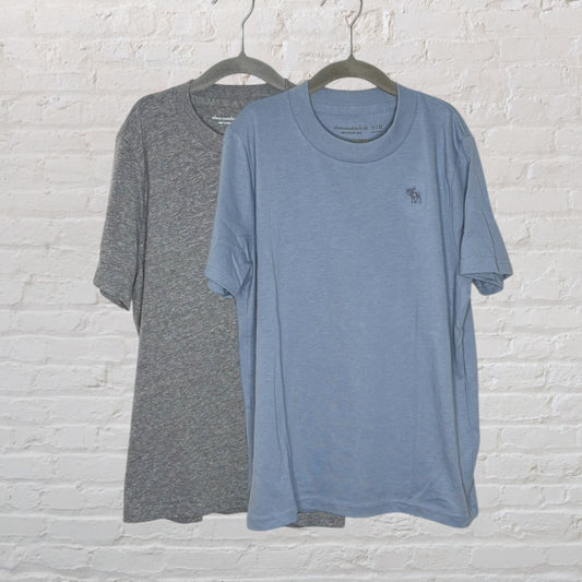 Set of two short sleeve crewneck tees, one in blue with a logo on the chest and the other in grey, both hanging on hangers against a brick wall.