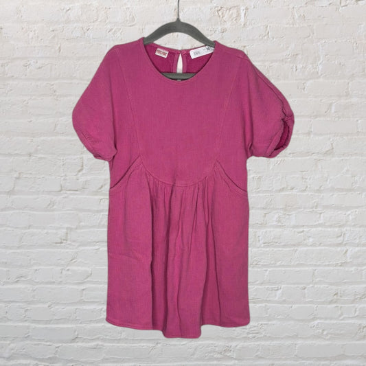 Pink short-sleeve dress by Zara with a gathered waist, displayed on a hanger.