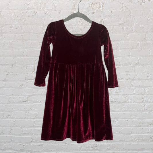 Unknown Brand Velvet Dress (4T)