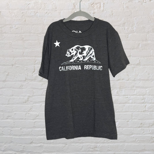 Chaser 'California Republic' T-Shirt (12)