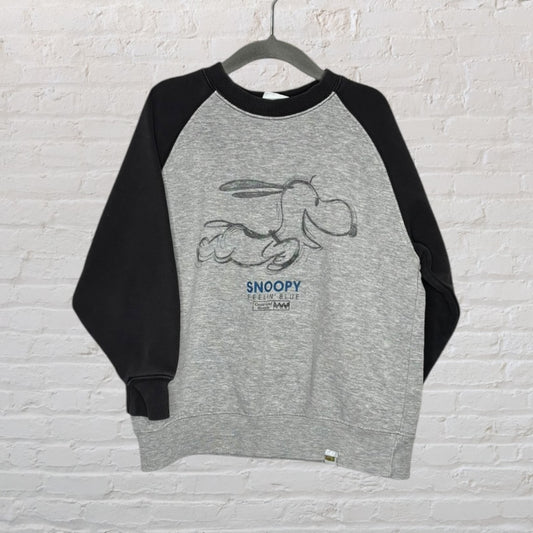 Grey and black sweatshirt with Snoopy graphic and 'Feelin' Blue' text, hanging on a black hanger.