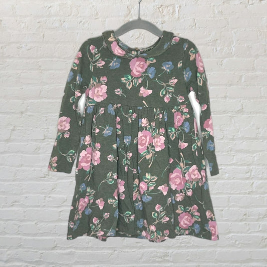 Next UK Floral Peter Pan Collar Dress (3T)
