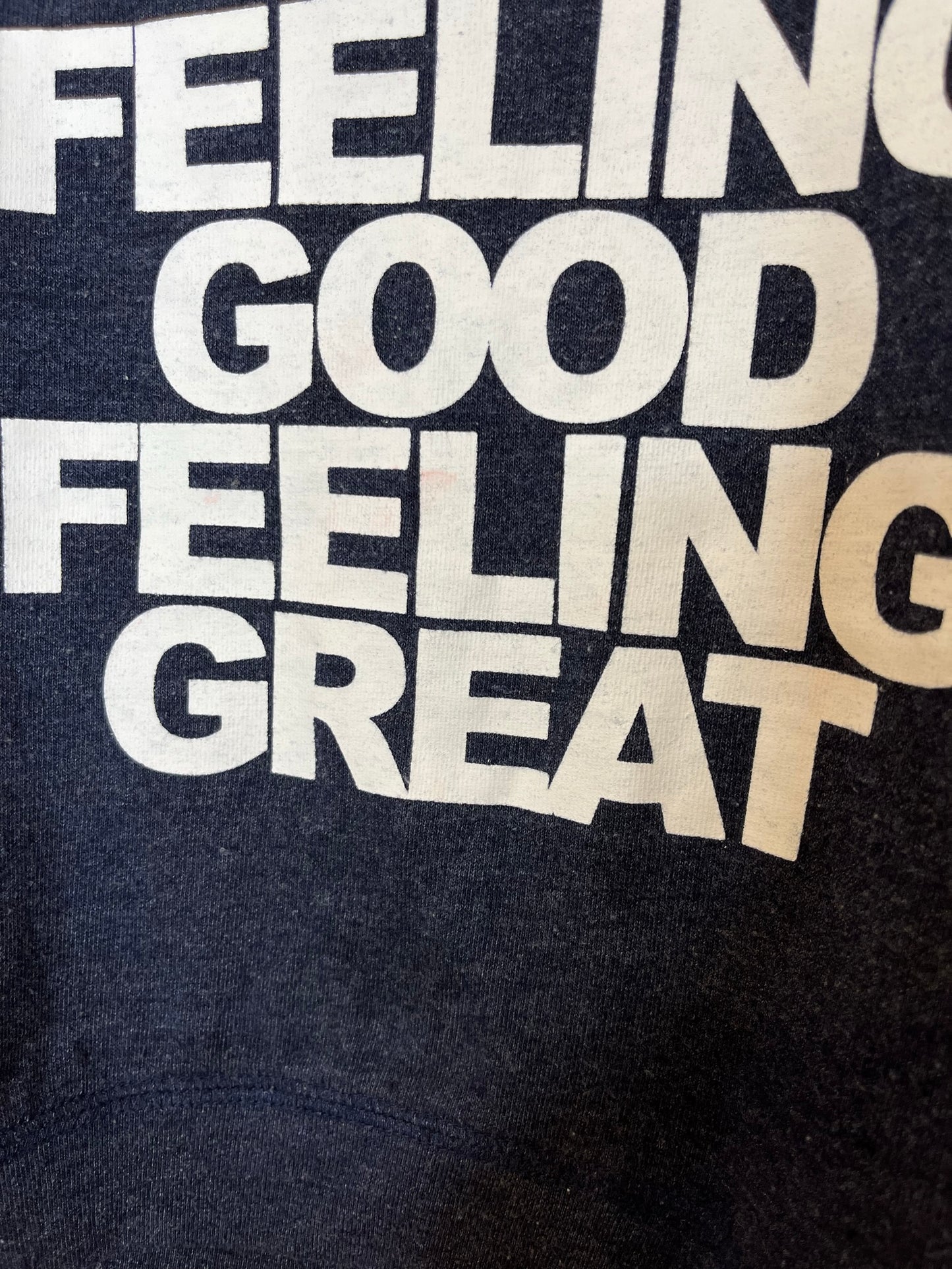 Chaser 'Feeling Good Feeling Great' Sweater (3T)