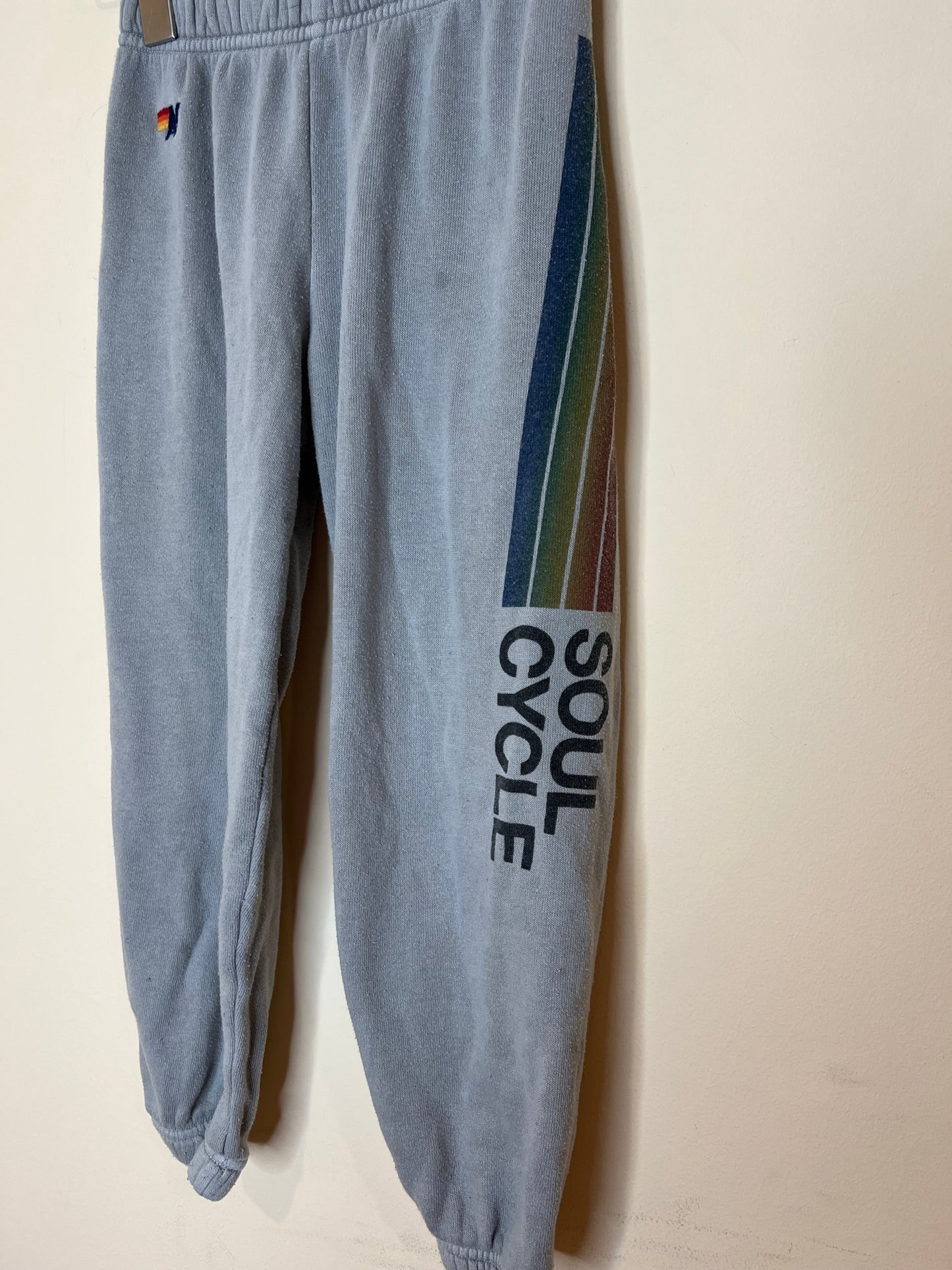 Aviator Nation 'Soul Cycle' Joggers (6)