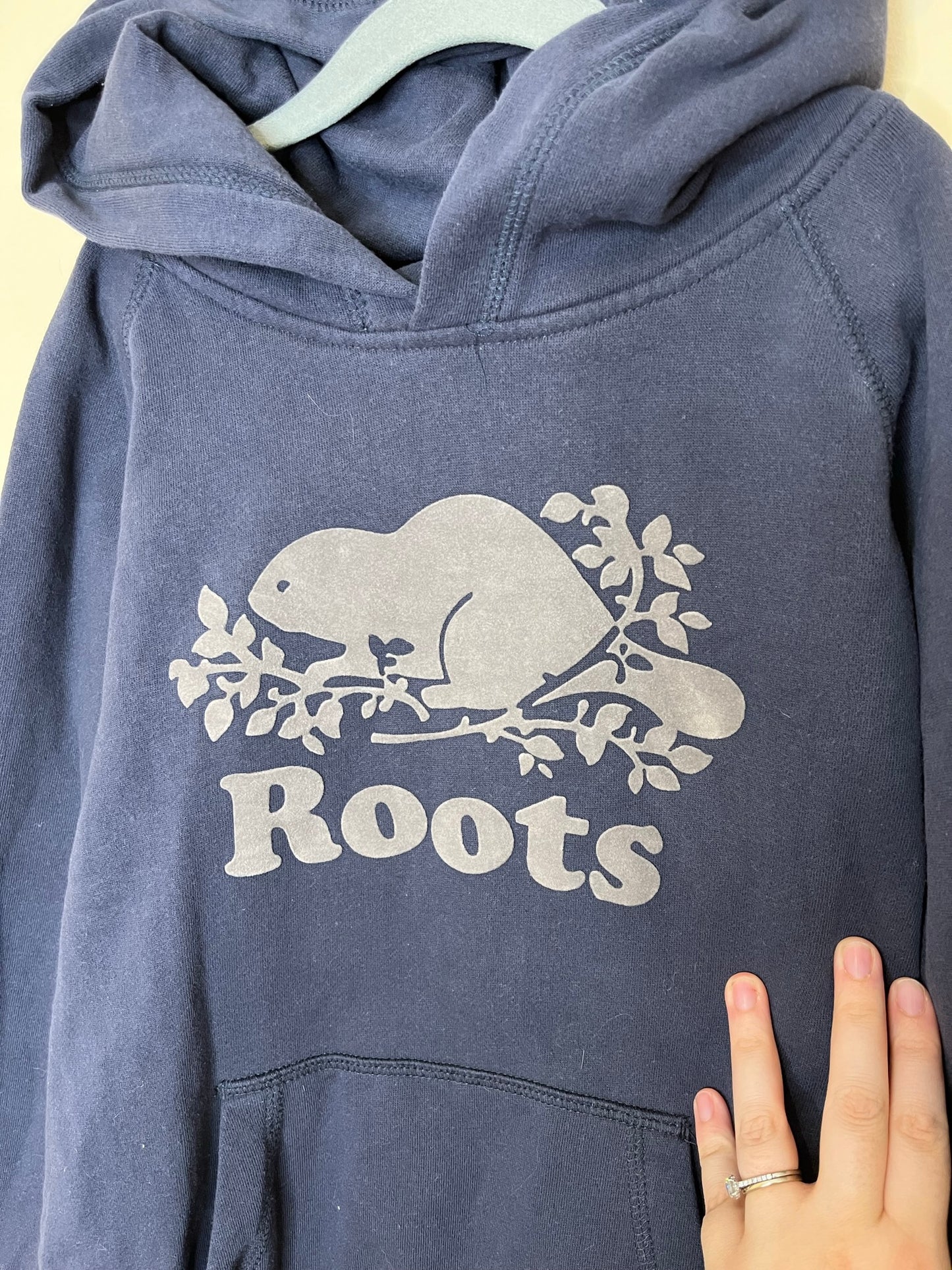 Roots Logo Hoodie (9-10)