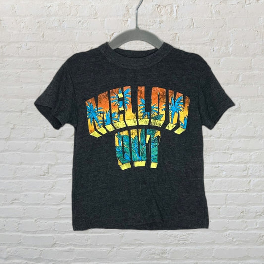 Chaser 'Mellow Out' T-Shirt (4T)