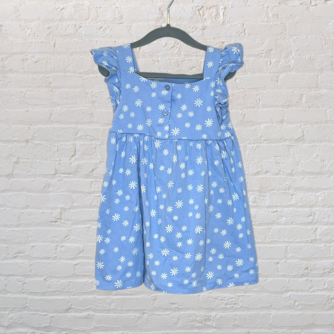 Rise Little Earthling Flutter Sleeve Daisy Dress (3T)