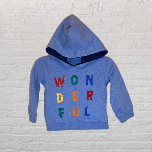 Earth By Art & Eden “Wonderful” Hooded Long-Sleeve (9M)