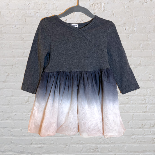Splendid Dress With Ombre Tulle Skirt (12-18)