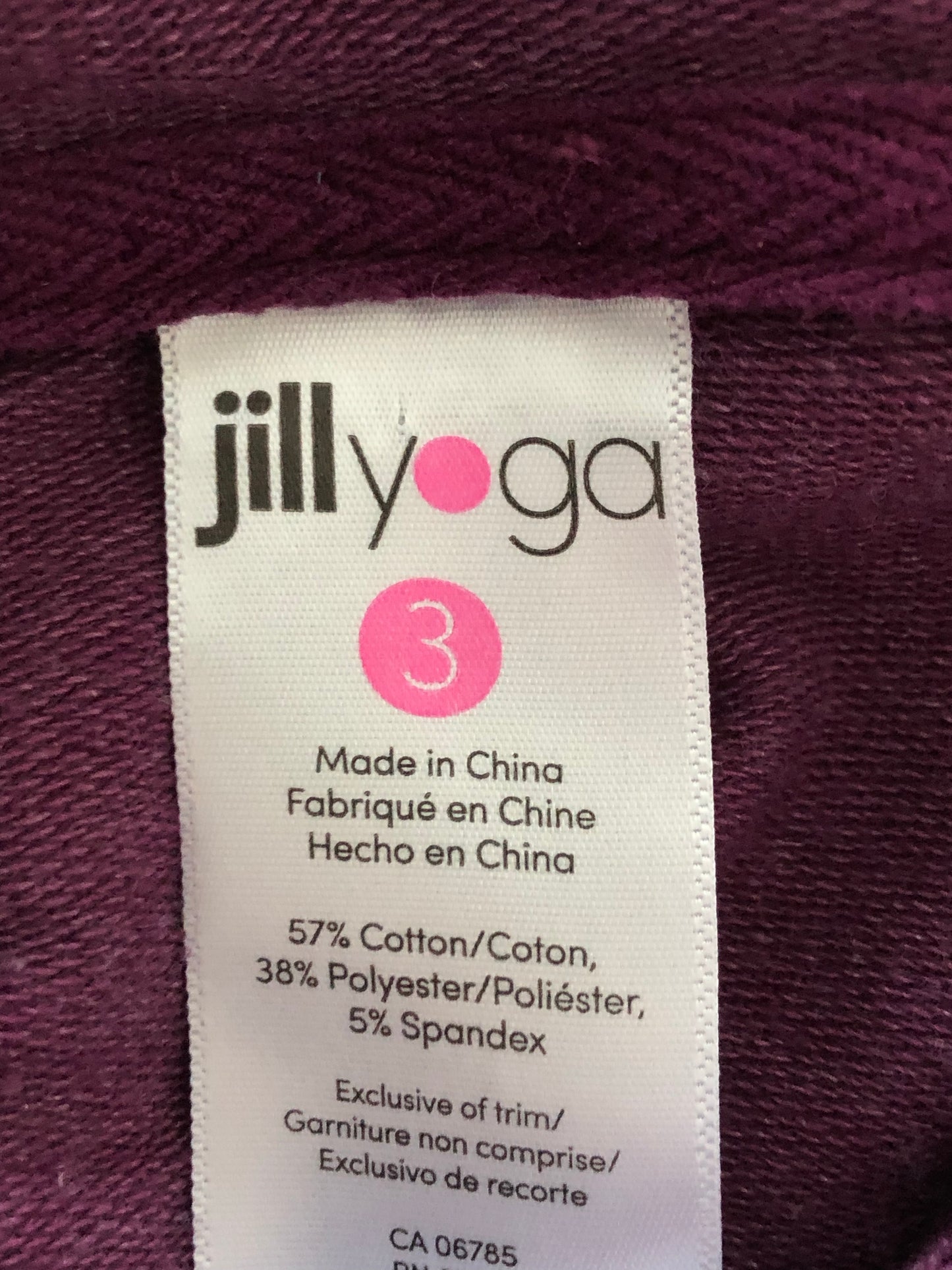 Jill Yoga Cropped Hoodie (3T)