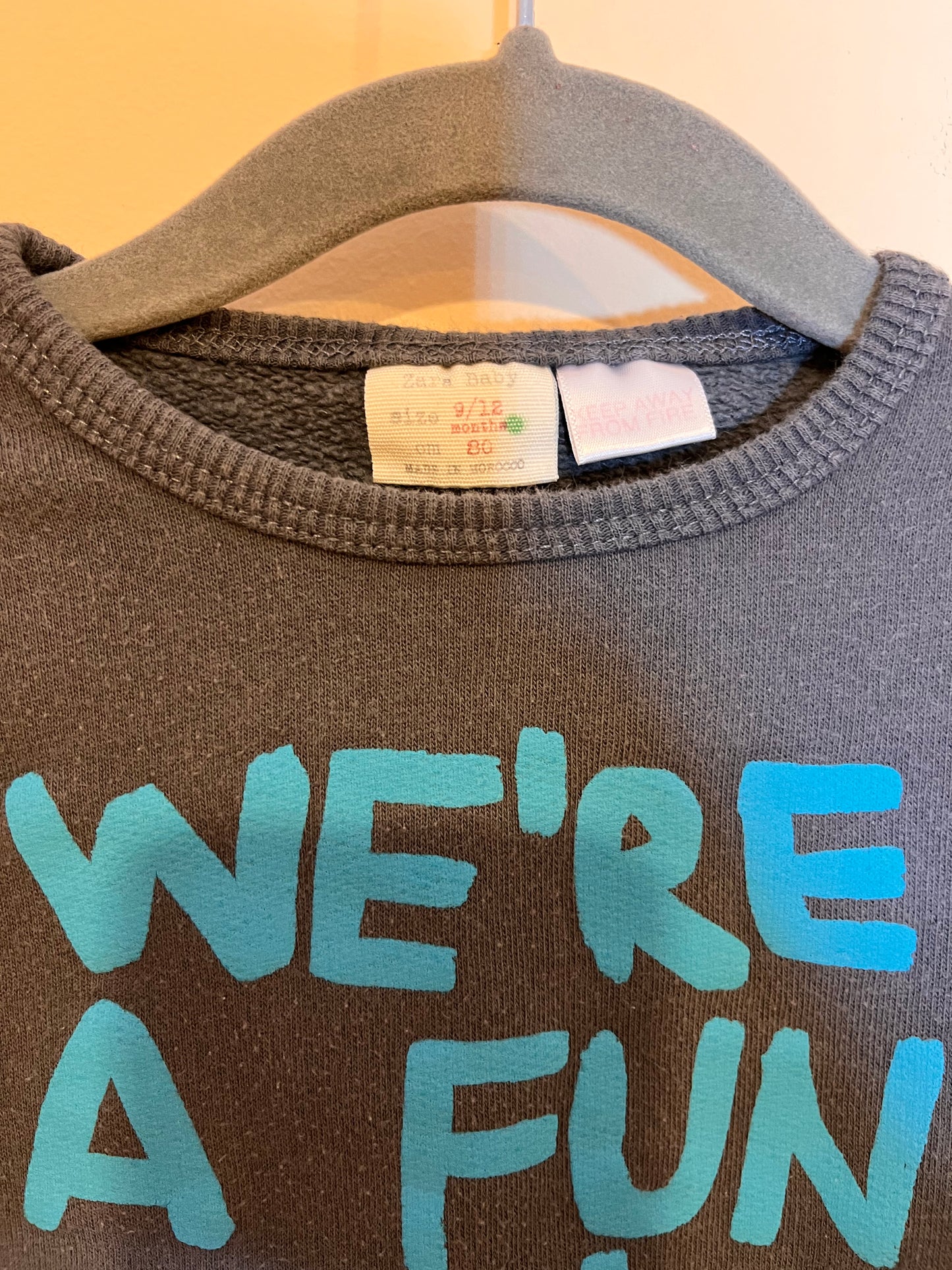 Zara “We’re A Fun Family” Sweater (9-12)
