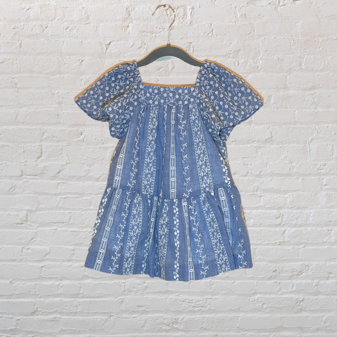 Zara Embroidered Chambray Dress (3T)