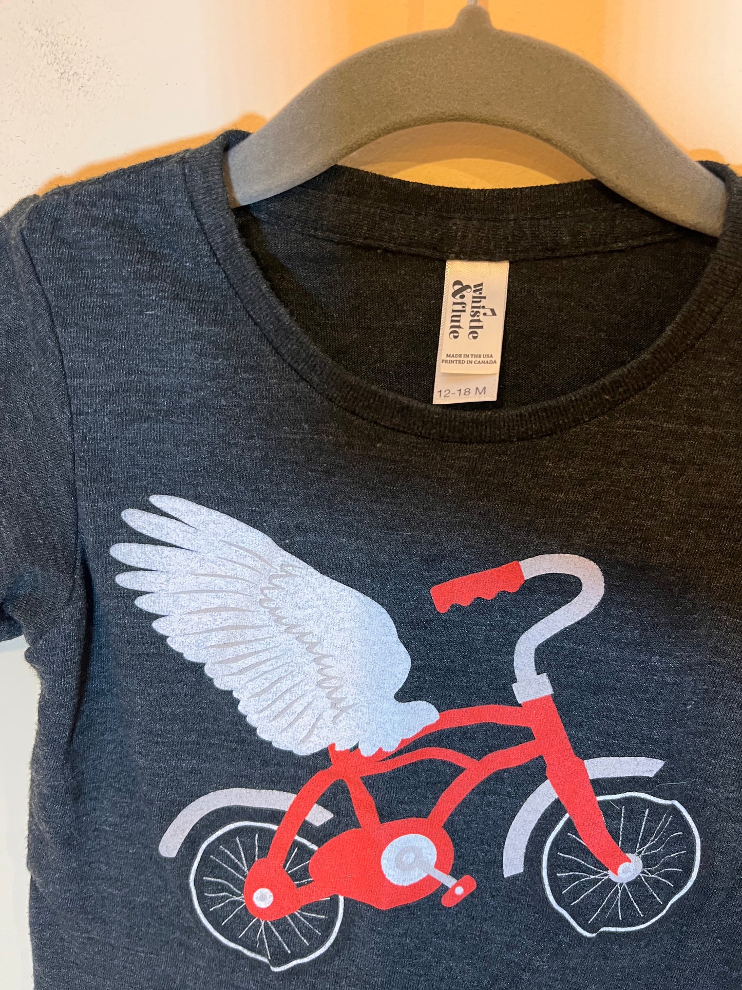 Whistle & Flute Flying Bicycle T-Shirt (12-18)